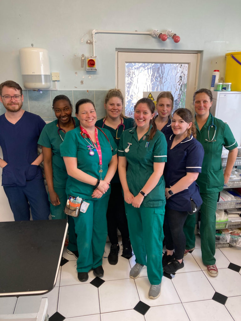 Anderson Veterinary Surgery, Orpington