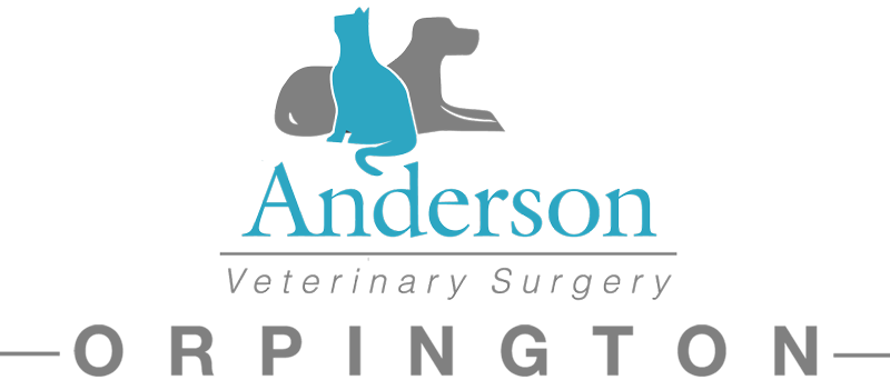 Anderson Veterinary Surgery, Orpington